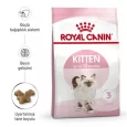 royal-canin-kitten-kuru-mama-10