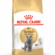 fbn2016-packshot-british-shorthair-adult