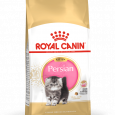 fbn2016-packshot-persian-kitten