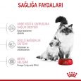 royal-canin-babycat-kuru-mama-9