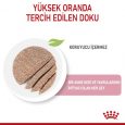 royal-canin-babycat-ya-mama-10