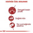 royal-canin-fit32-kuru-mama-2