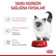 royal-canin-kitten-gravy-ya-mama-11