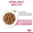 royal-canin-kitten-gravy-ya-mama-9