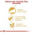 royal-canin-persian-adult-kedi-mamas-3