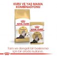 royal-canin-persian-adult-kedi-mamas-4