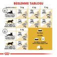 royal-canin-persian-adult-kedi-mamas-5