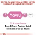 royal-canin-persian-kitten-yavru-kedi-mamas-4