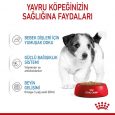 royal-canin-mini-puppy-ya-mama-9