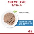 royal-canin-starter-mouse-ya-mama-6