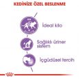 royal-canin-sterilised37-gravy-ya-mama-3